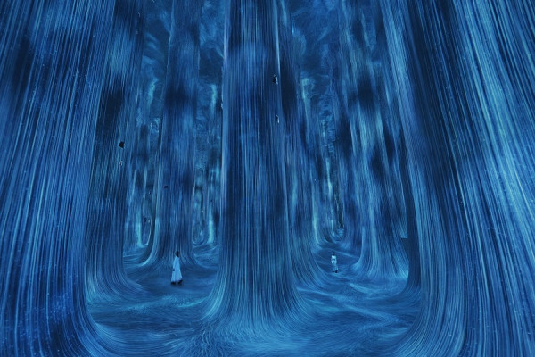 teamLab Phenomena Abu Dhabi ticket @ AED 135 per person