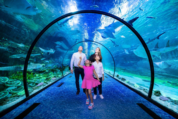 The National Abu Dhabi Aquarium - General Admission Ticket